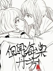 狼导航跳转视频